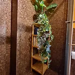 Splendido Attico